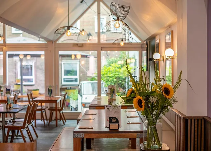 بيت شباب شباب هانس برينكير *